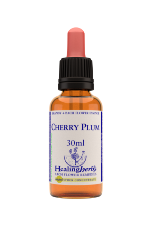 Cherry Plum