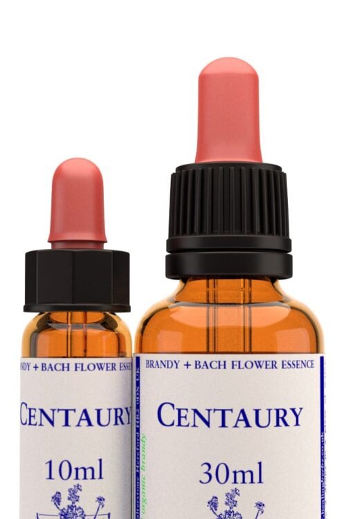 Centaury