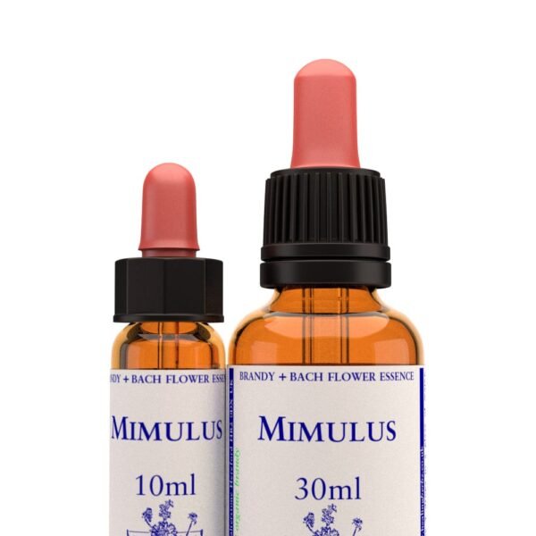 Mimulus