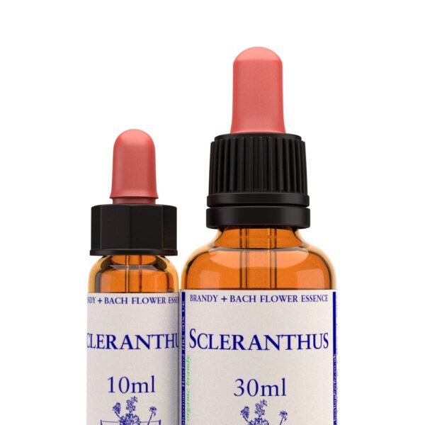 SCLERANTHUS