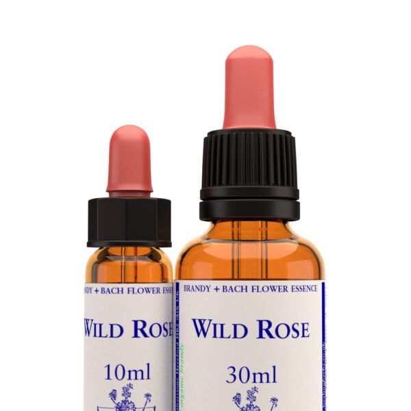 Wild Rose